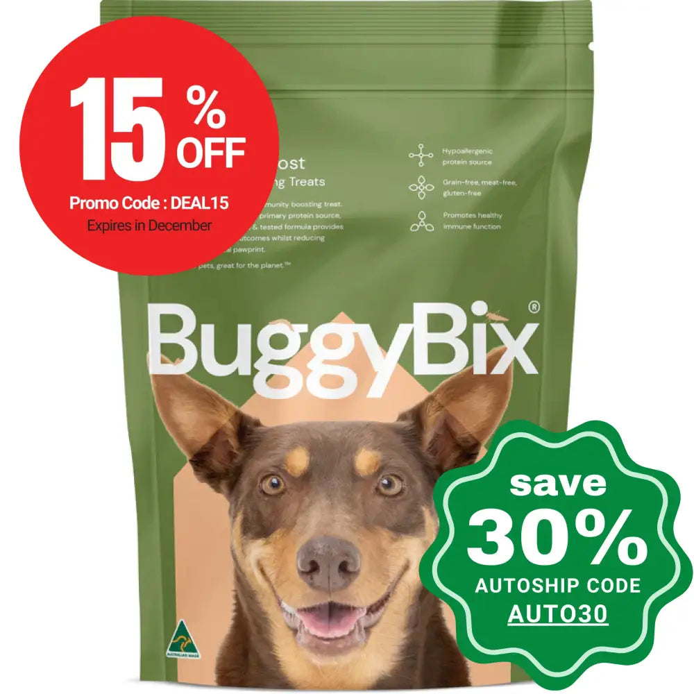 BuggyBix - Dried Treats For Dogs - All Ages + Immunity Boost Eco-Protein Training Treats - 170g (EXP: 09/12/2024)