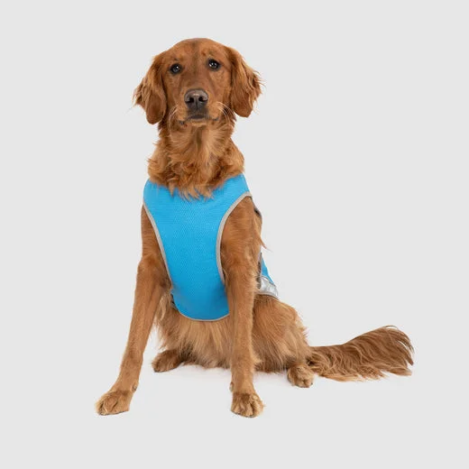 Canada Pooch Blue Chill Seeker Cooling Vest