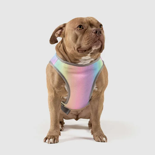 Canada Pooch Rainbow Chill Seeker Cooling Vest