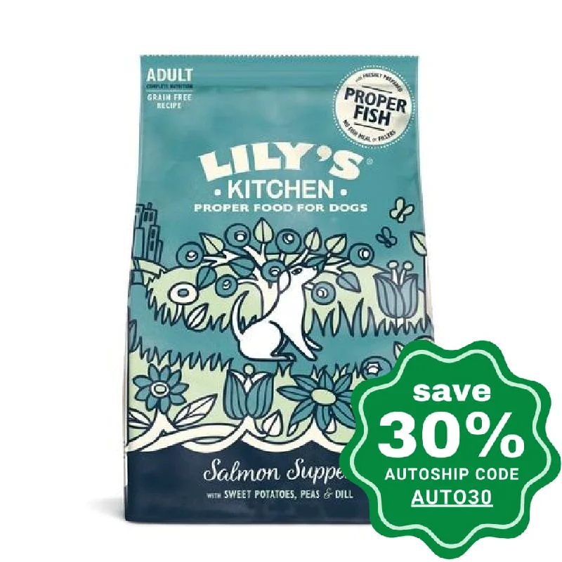 Lily's Kitchen - Dry Dog Food - Salmon Supper - 2KG (Min. 9 Packs)