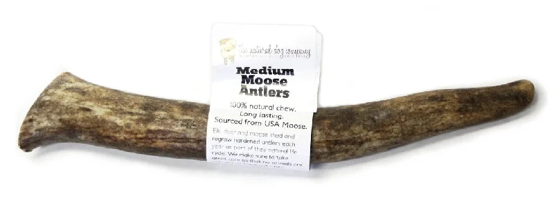 Tuesday's Natural Dog Company Moose Antler Dog Chew