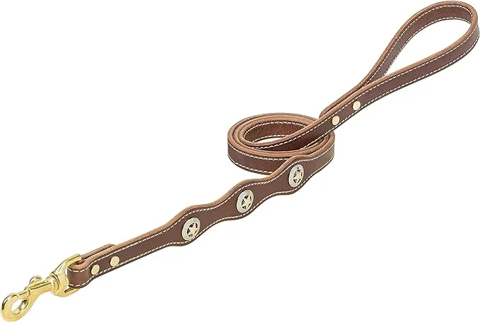 Weaver Lonestar Dog Leash, Rich Brown, 3/4" x 4'