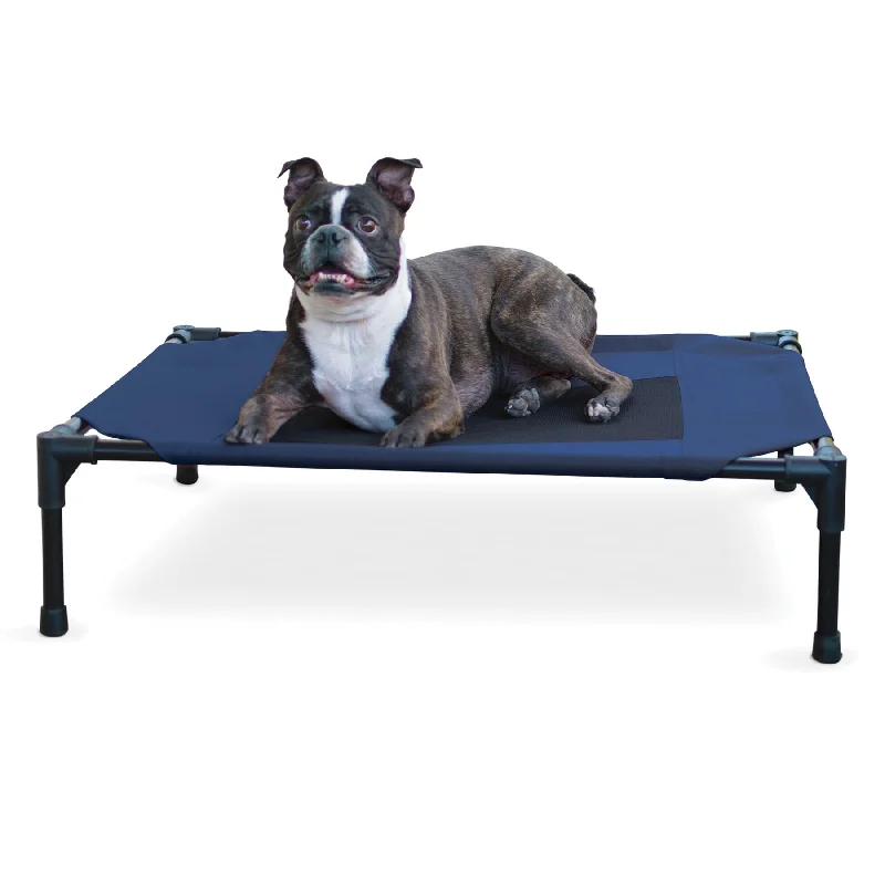 Elevated Dog Bed, Medium