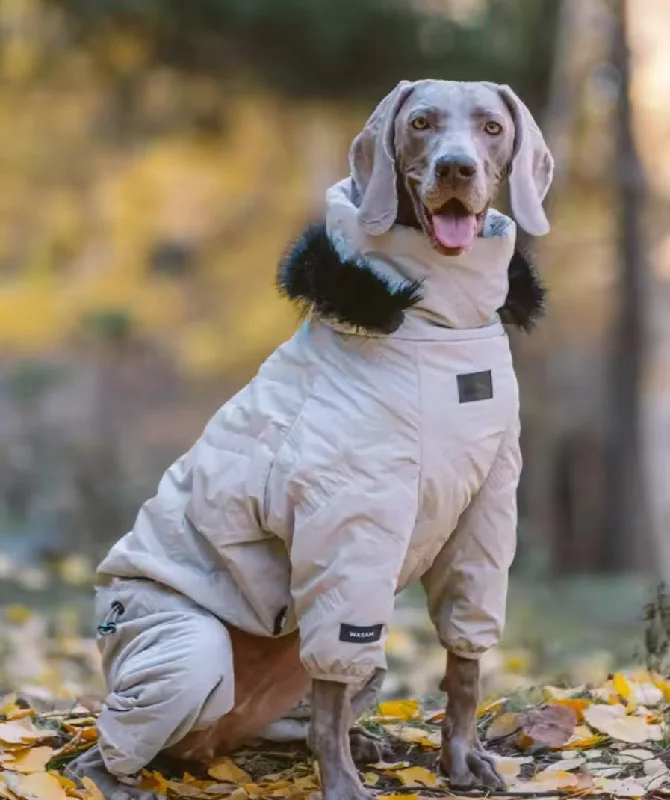 Winter Doggy Jacket