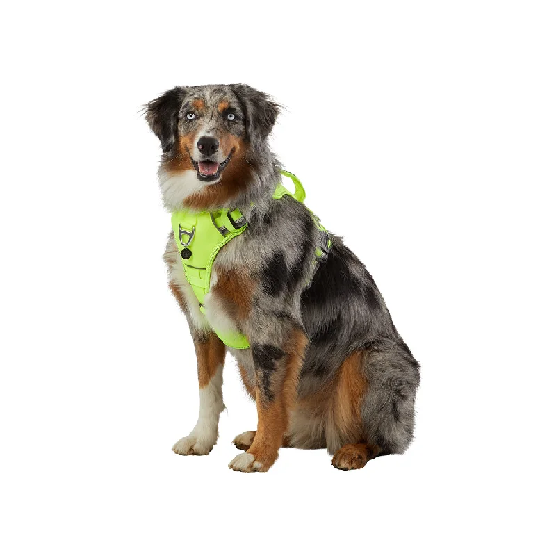 Arcadia Trail Yellow Neoprene Sport Harness for Dogs