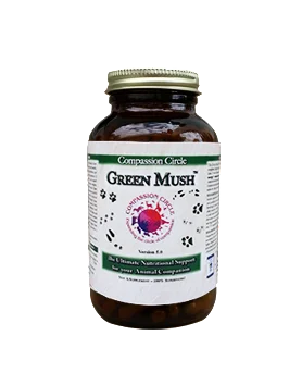 Green Mush™ - The Ultimate Superfood