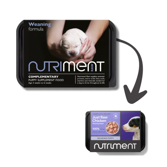 NUTRIMENT WEANING FORMULA 500G